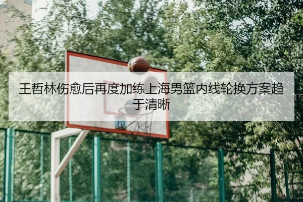 王哲林伤愈后再度加练上海男篮内线轮换方案趋于清晰